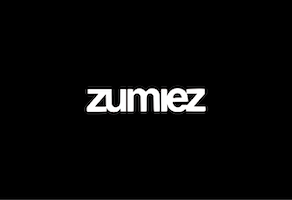2024 PROJECT Website Logos_Zumiez