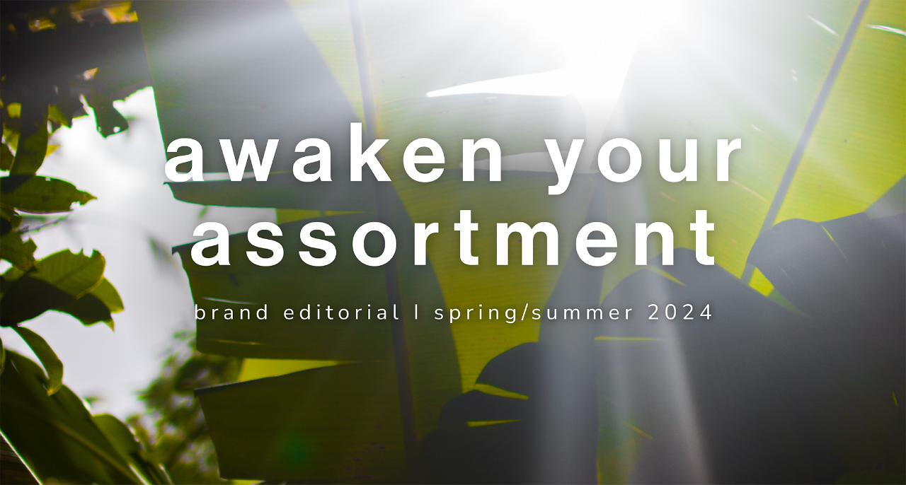 PROJECT Las Vegas - Brand Editorial - August 2023