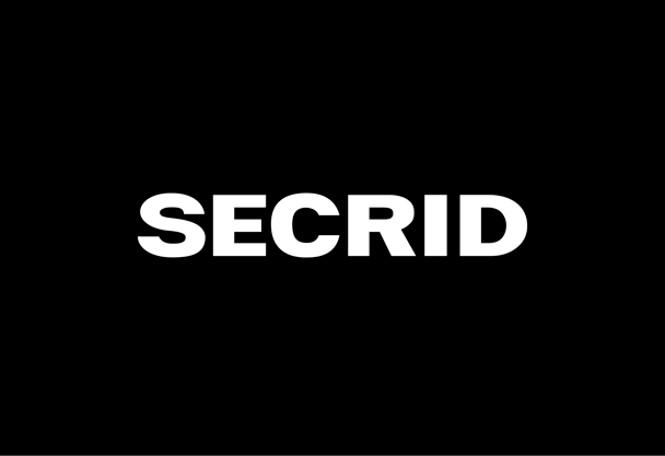 2024-project-website-logo-secrid