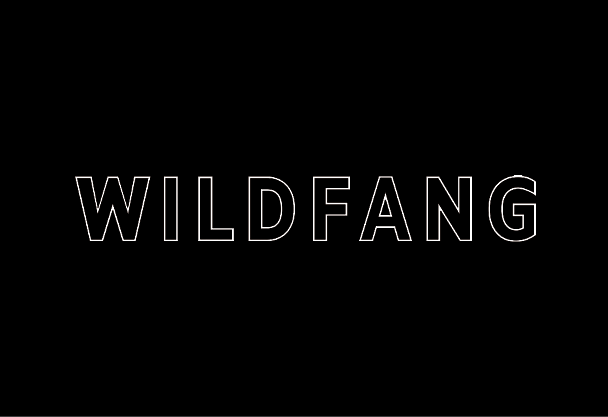 2024 PROJECT Website Logo_Wildfang