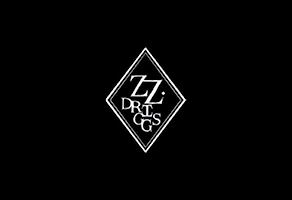 PRJ241_Logo_ZZDriggs